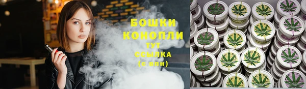 прущие грибы Богданович