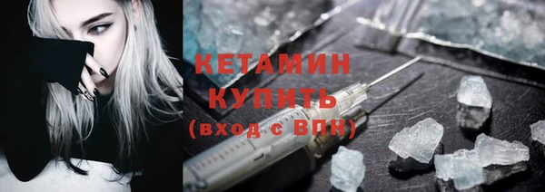 прущие грибы Богданович
