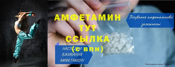 прущие грибы Богданович