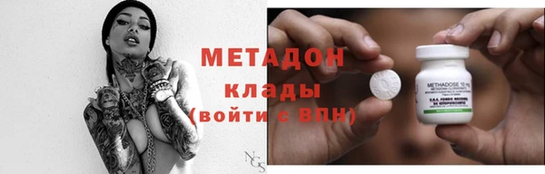 прущие грибы Богданович