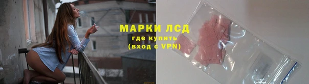 прущие грибы Богданович