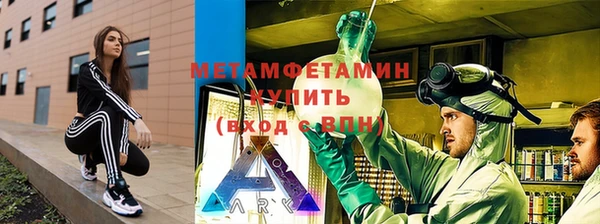 прущие грибы Богданович