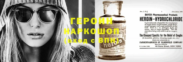 прущие грибы Богданович
